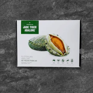 Bào ngư bích hổ Úc size 11/12 – Jade Tiger Abalone