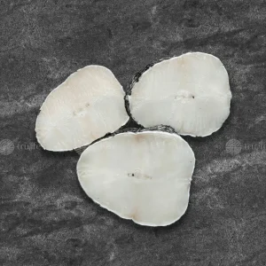 Cá tuyết Nam Cực size 4-6kg – Sapmer