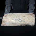 Đầu thăn ngoại bò Wagyu Mỹ Winter Frost