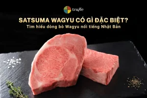 Bò Satsuma Wagyu là gì? Đặc điểm nổi bật của Wagyu Nhật