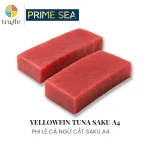 PHI LE CA NGU CAT SAKU A4 2.webp