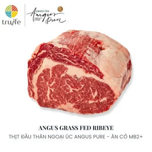 Đầu thăn ngoại bò Úc ăn cỏ Angus Pure MB2+