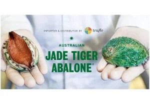 Tru-Life nhập khẩu độc quyền và phân phối bào ngư bích hổ Úc Jade Tiger Abalone