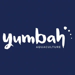 logo yumbah